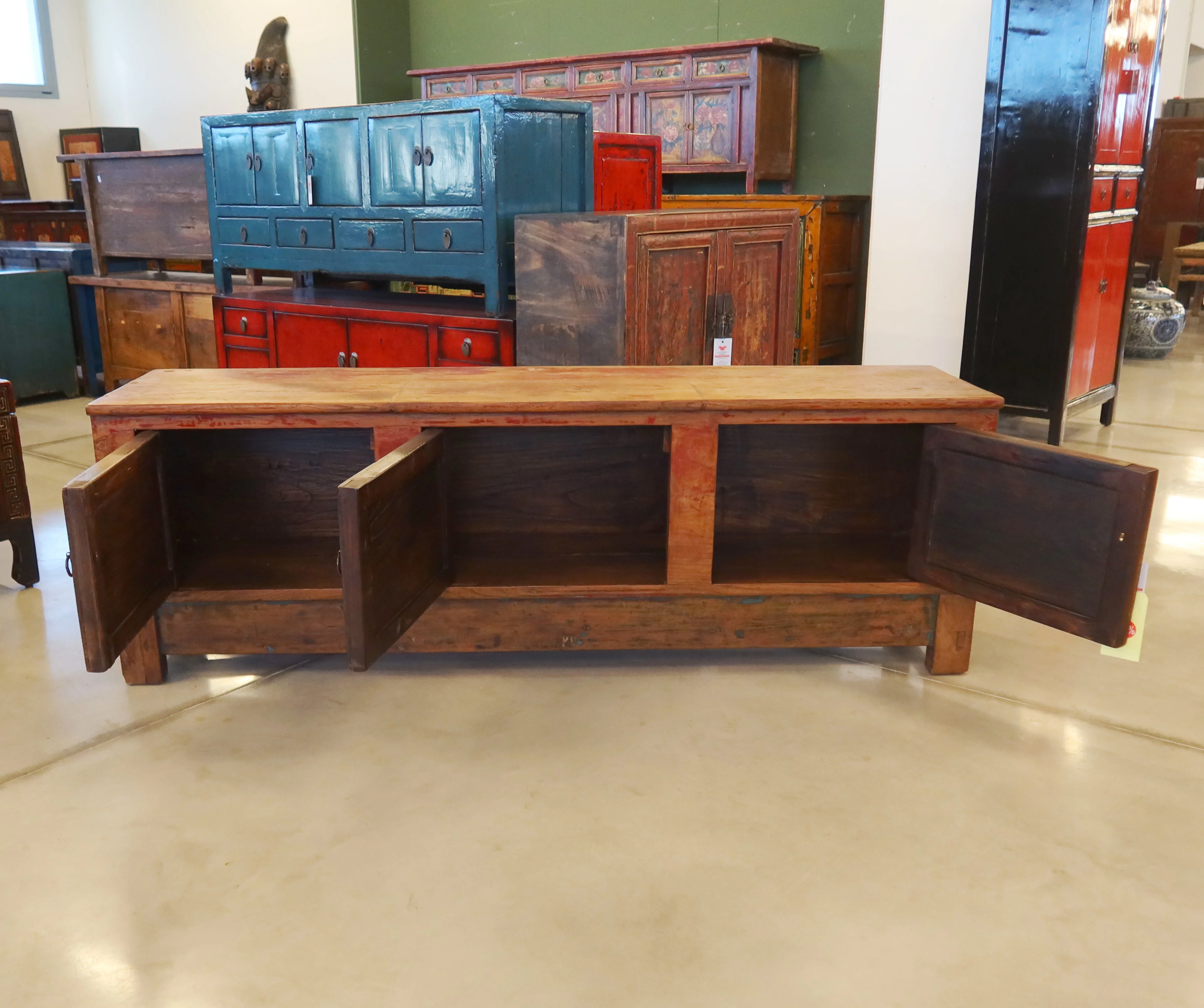 CASSAPANCA CINESE DEL QINGHAI - Image 3