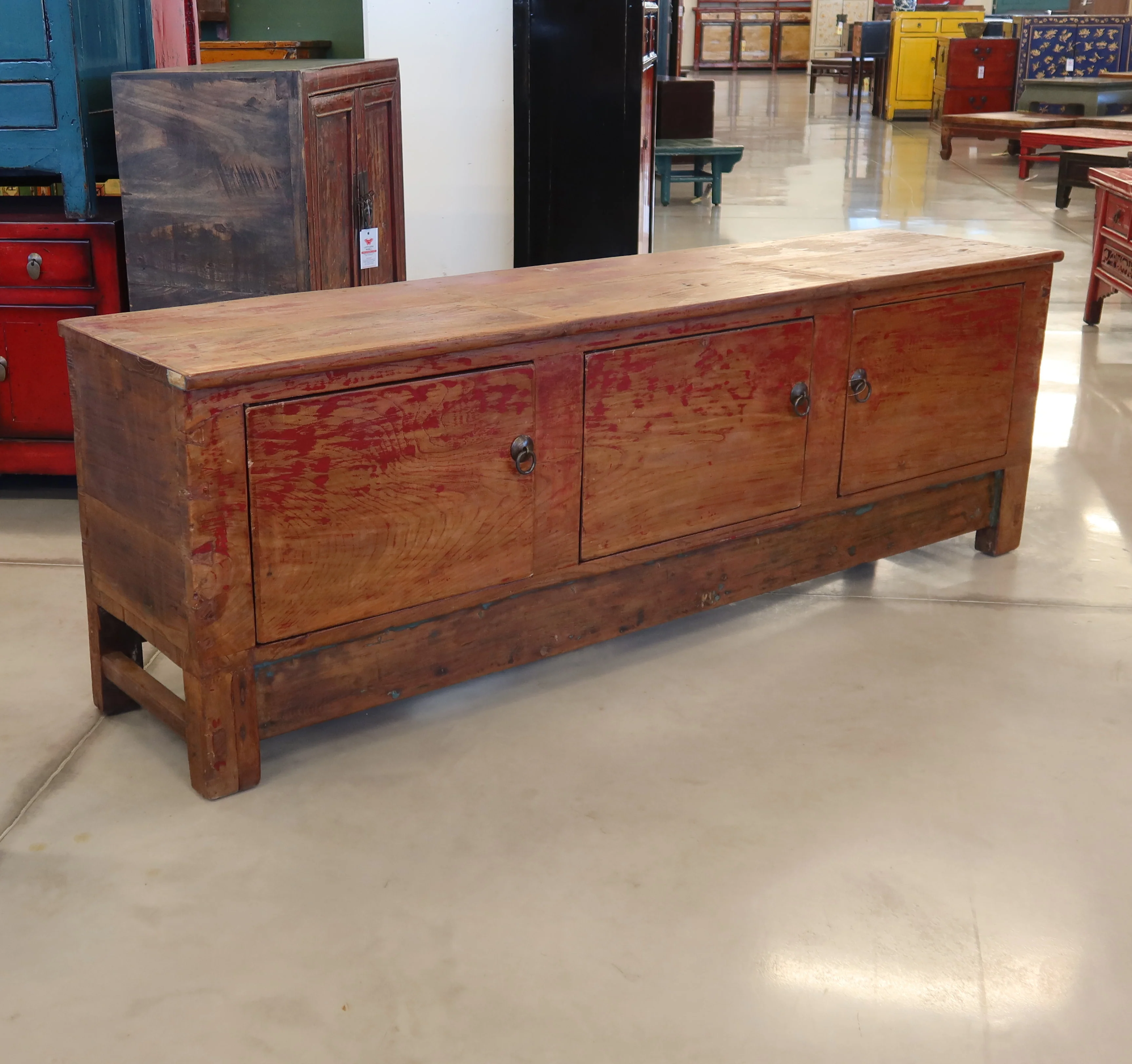 CASSAPANCA CINESE DEL QINGHAI - Image 4