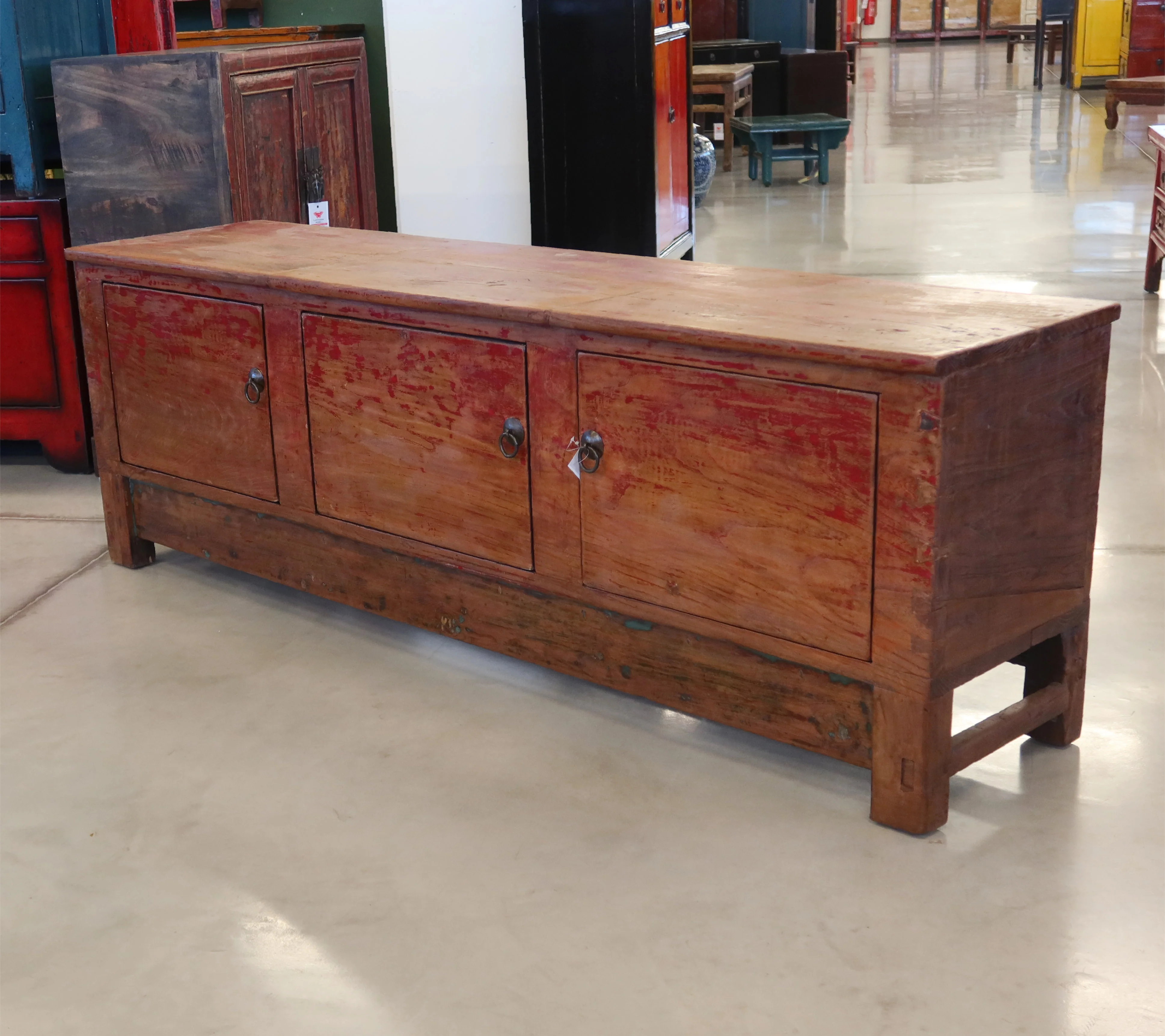 CASSAPANCA CINESE DEL QINGHAI - Image 5