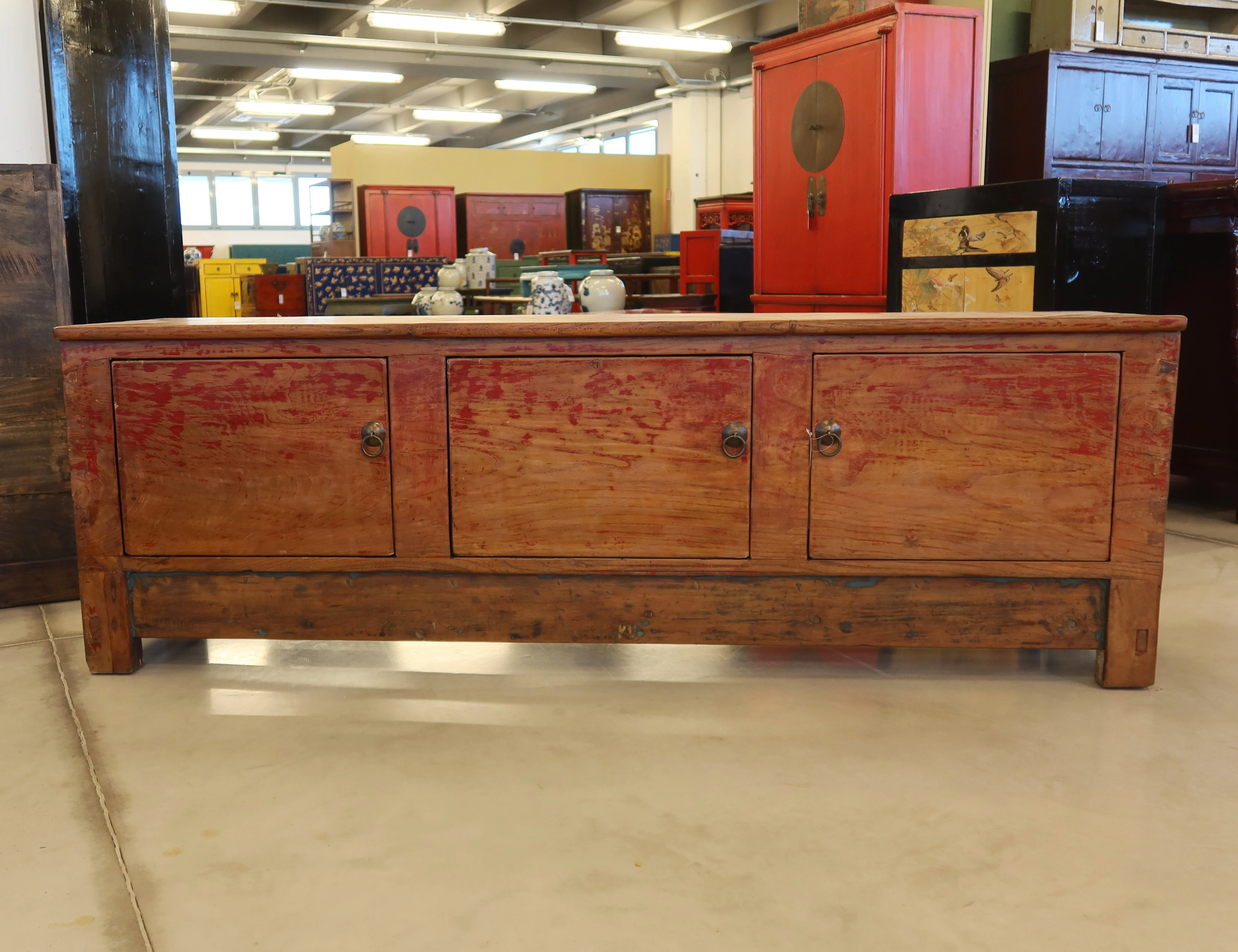 CASSAPANCA CINESE DEL QINGHAI - Image 6