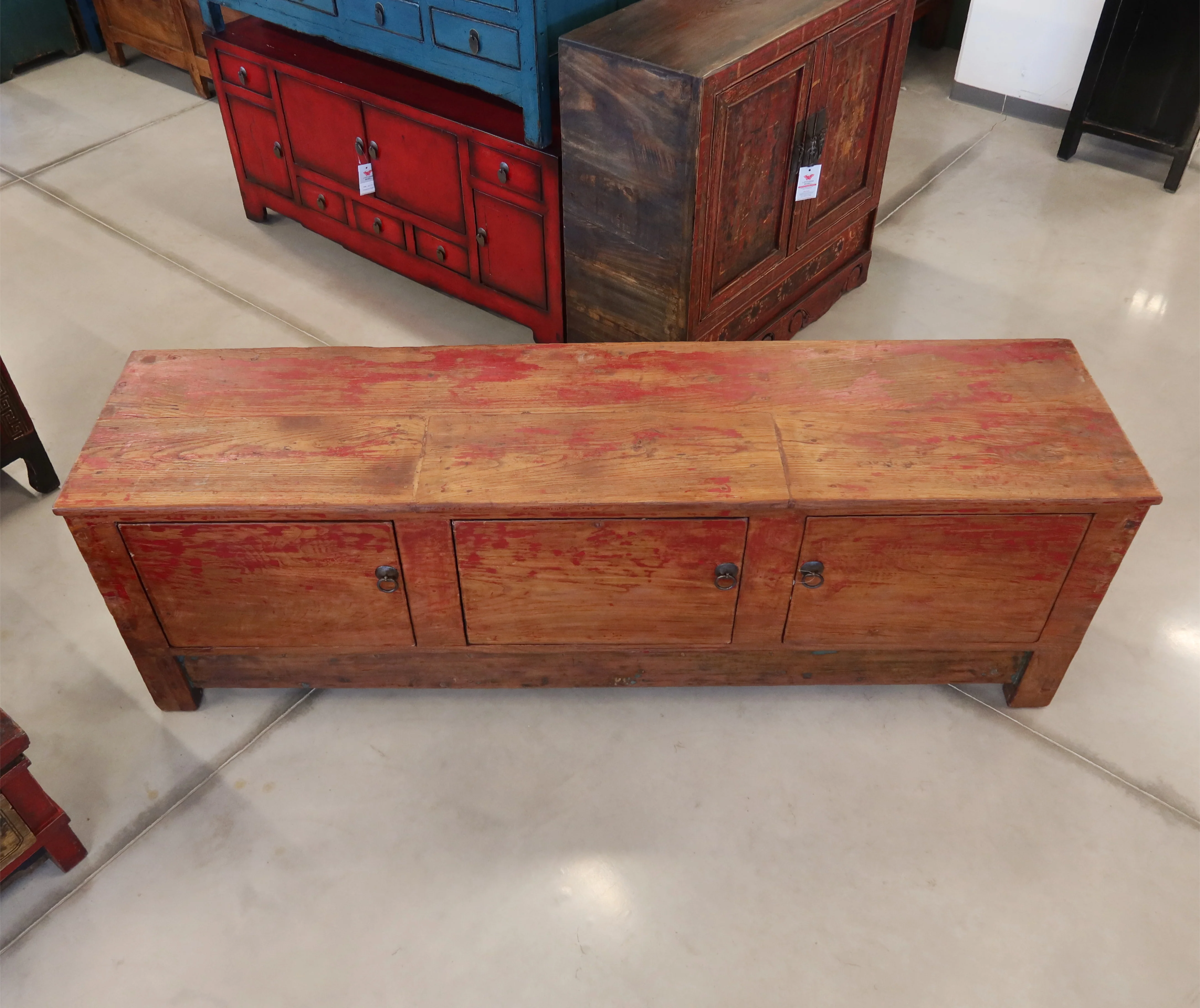 CASSAPANCA CINESE DEL QINGHAI - Image 7