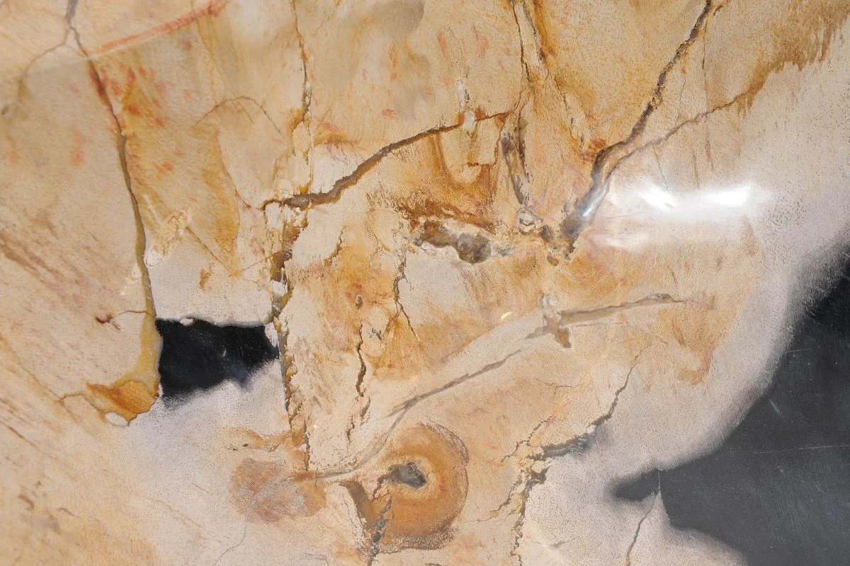 Lavabo da appoggio in legno fossile - 50208 - Image 3