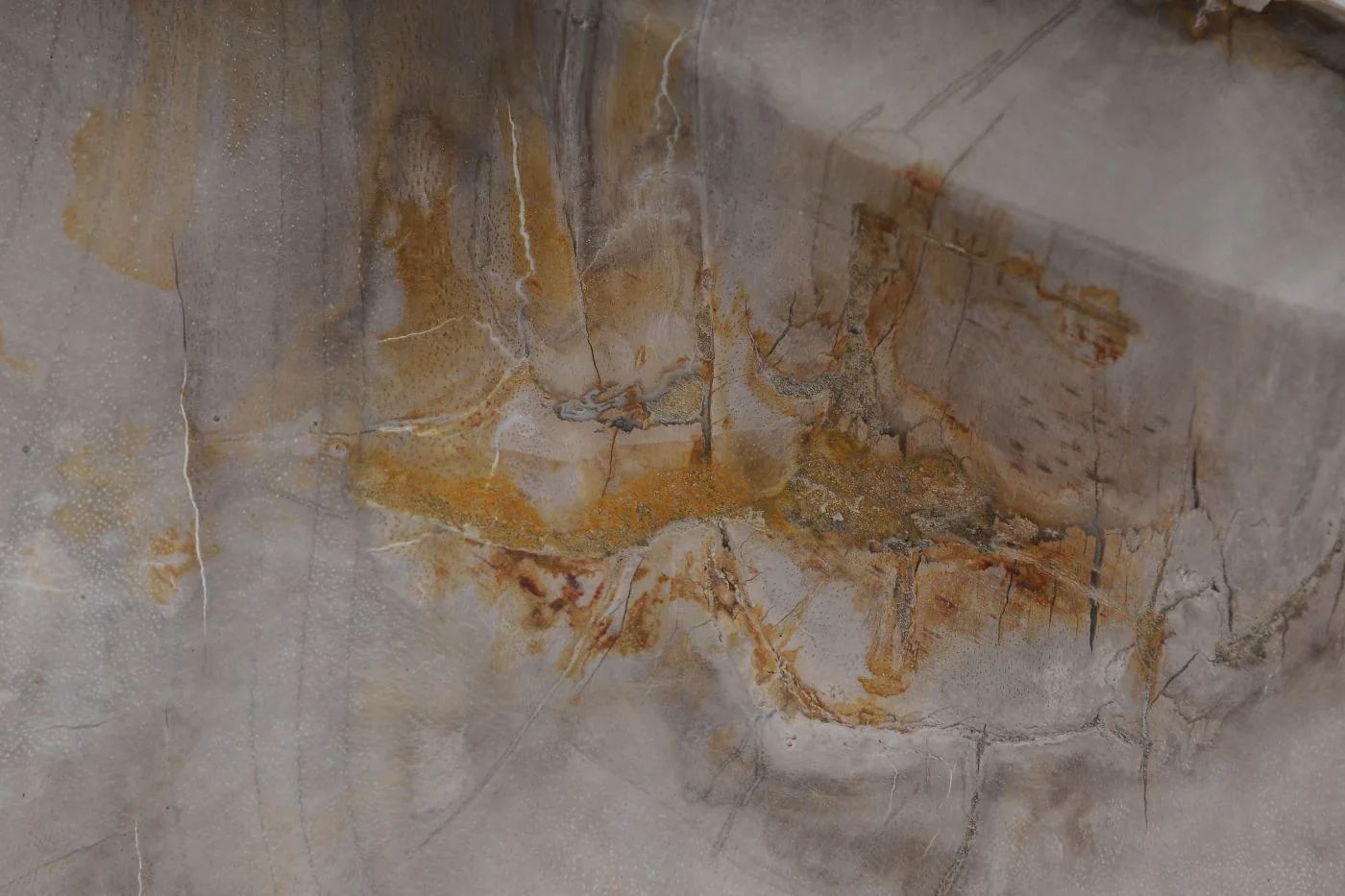 Lavabo da appoggio in legno fossile - 53406 - Image 5